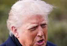 trump 8 1200x630.jpg