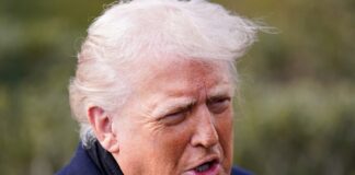 trump 8 1200x630.jpg