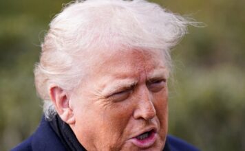 trump 8 1200x630.jpg