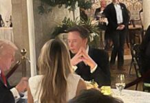 trump musk 1 1200x630.jpg