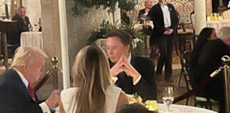 trump musk 1 1200x630.jpg