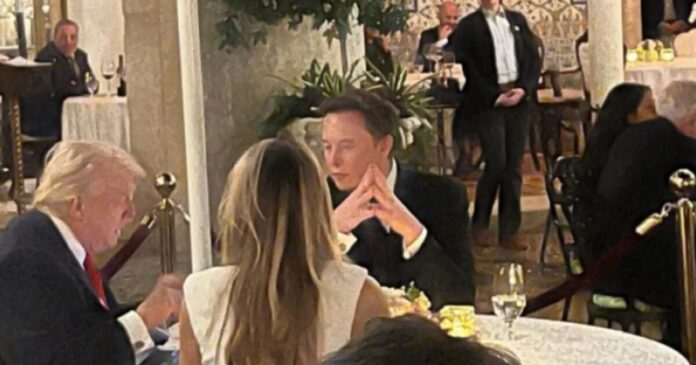 trump musk 1 1200x630.jpg