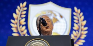 trump1 3 1200x630.jpg