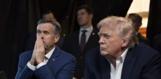 trump4 1 1200x630.jpg