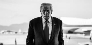 trump5 1 1200x630.jpg