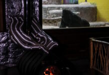 ukraine crisis energy zoo 1200x630.jpg