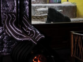 Κίεβο: Ο ζωολογικός κήπος «παλεύει» να κρατήσει τα ζώα ζεστά σε μια περίοδο που η πόλη «τρέμει» από το κρύο ukraine crisis energy zoo 1200x630.jpg