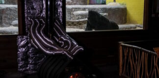 ukraine crisis energy zoo 1200x630.jpg