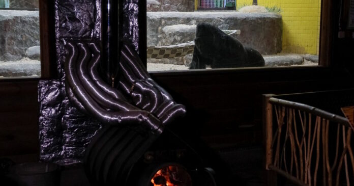 ukraine crisis energy zoo 1200x630.jpg