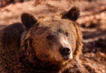 unnamed 2 620x350.jpg