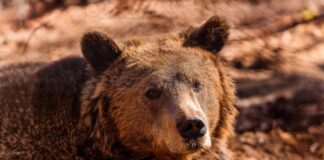 unnamed 2 620x350.jpg