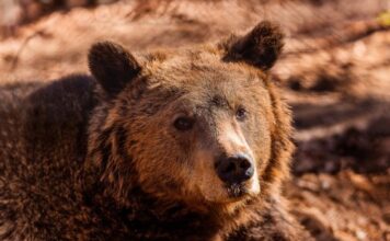 unnamed 2 620x350.jpg