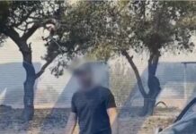 upoptos fotia penteli 1 1200x630.jpg