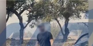 upoptos fotia penteli 1 1200x630.jpg