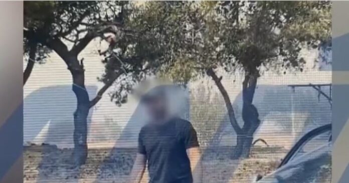 upoptos fotia penteli 1 1200x630.jpg