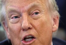 usa trump 5 1200x630.jpg