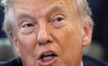 usa trump 5 1200x630.jpg