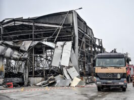 violanta 4 1200x630.jpg