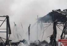 violanta 8 1200x630.jpg