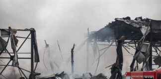 violanta 8 1200x630.jpg