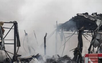 violanta 8 1200x630.jpg