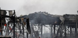 violanta ergostasio3 1200x630.jpg