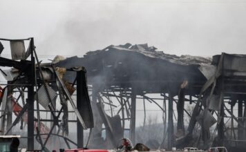 violanta ergostasio3 1200x630.jpg