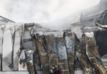 violanta eurok 1200x630.jpg