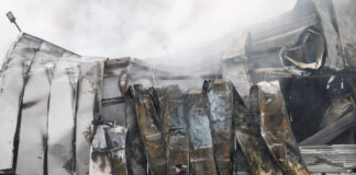 violanta eurok 1200x630.jpg