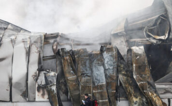 violanta eurok 1200x630.jpg