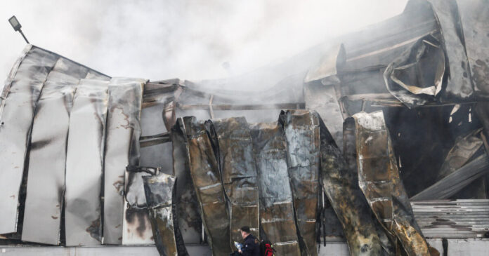 violanta eurok 1200x630.jpg