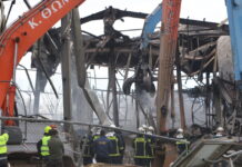 violanta eurok 2 1200x630.jpg