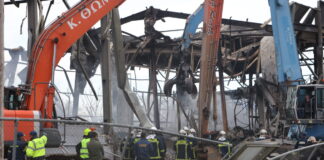 violanta eurok 2 1200x630.jpg