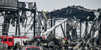 violanta eurok 3 1200x630.jpg