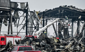 violanta eurok 3 1200x630.jpg