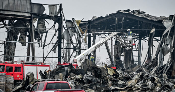 violanta eurok 3 1200x630.jpg