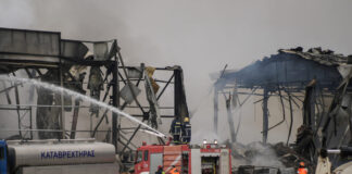 violanta r 1 1200x630.jpg