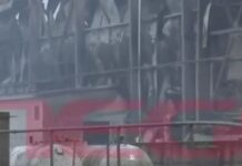 violanta1 1 1 1200x630.jpg