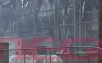 violanta1 1 1 1200x630.jpg