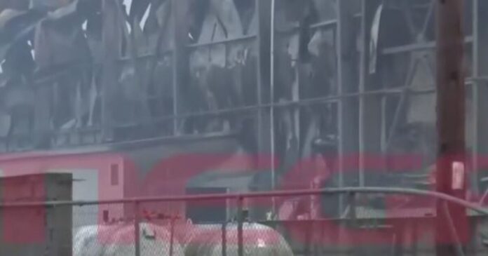 violanta1 1 1 1200x630.jpg