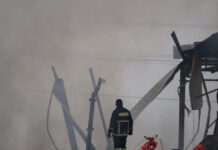 violanta11 26012026 1200x630.jpg