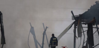 violanta11 26012026 1200x630.jpg