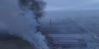 violanta5 1 1200x630.jpg