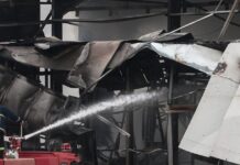 violanta8 1 1200x630.jpg