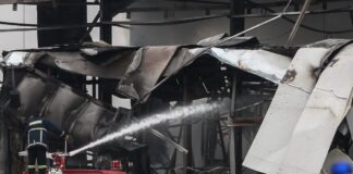 violanta8 1 1200x630.jpg