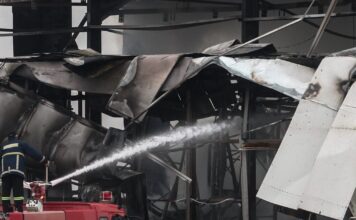 violanta8 1 1200x630.jpg