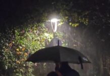 vroxi 1 1 1200x630.jpg