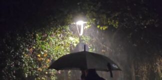 vroxi 1 1 1200x630.jpg