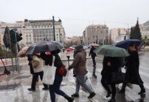 vroxi 1 1200x630.jpg