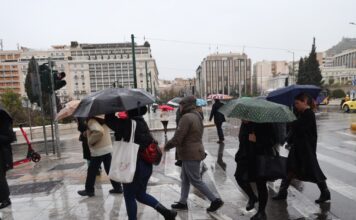 vroxi 1 1200x630.jpg